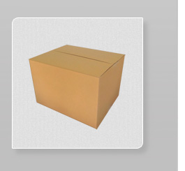 Sample Brown Box